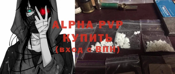Альфа ПВП Горняк