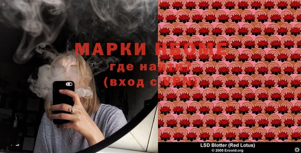 гашик Горнозаводск