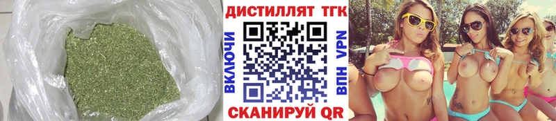 Дистиллят ТГК Wax  Купить закладки  Подпорожье 